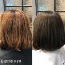 살롱드 하유