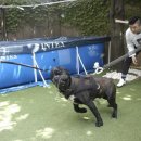 스프링폴 이미지