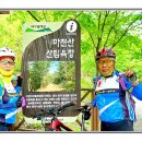 인행 이미지