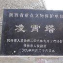 유림-1145 이미지