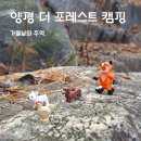 카페정원 같은 양평 더 포레스트 캠핑장 A4 후기 명당추천