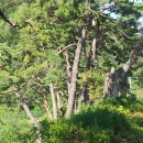 은티농장 이미지