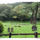 한라산신제단 이미지