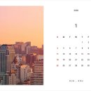 옵티컬 안테나 이미지