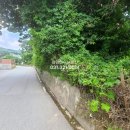 양지-3577 이미지