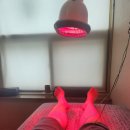 이승재한의원 | 오십견 통증치료 침잘놓는 광주 월산동 이승재한의원