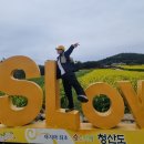 청산도횟집 | 완도맛집 필수코스 신지횟집