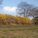 봄봄 나봄 이미지