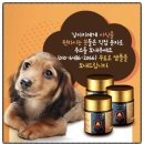 금산홍삼집 | 강아지도 흑삼 챙겨야죠! 금산이가홍삼 ‘ 반려견영양제 고려흑삼펫 ’ 소개합니다
