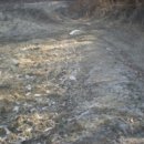 분당-398 이미지