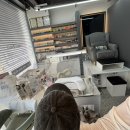 네일 아무르 이미지