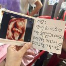 여수여행 | [여수] 하이락 리조트 후기 & 여수 여행 기록