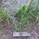 이현소류지 이미지