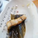 서파장어랜드 네이버블로그