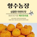 정해성농장 네이버블로그
