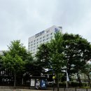 일산병원 | 초등학생 외사시 수술 해야할까요? 일산병원 진료 후기