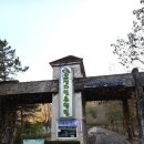 214 | 완주 고산자연휴양림 숙박기, 단풍 가득한 숲속의집 214호 후기