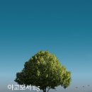 [중보기도요청] 2024년7월30일(화) 이미지