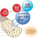 퀸즈헤나 이미지