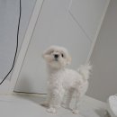 딸랑분식