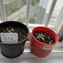 세빈파크 이미지