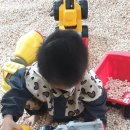 바니키즈랜드 이미지