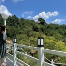 소나무카페(소나무관광농원) 이미지