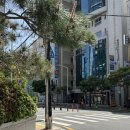 한결 건축사사무소 | 창원 개인회생 상담 막막했던 채무 고민, 법무사이장헌사무소에서 방향 찾았어요