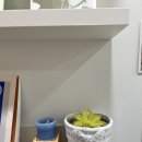 소리나무피아노학원 | [일산] 마두역 성인피아노학원 | 플로우 피아노 스튜디오 3월 일상 🌷🌼❤️