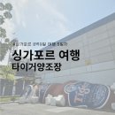 [2023.02.8박9일 싱가포르 5] 싱가포르 타이거브루어리 양조장 투어 인근 로컬식당 후기