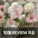 아이리스소프트 | [공지] 서울역 결혼식장 라루체를 선택할 수 밖에 없는 완벽 조건💕 - 실제 후기