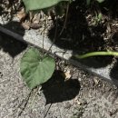 대전호텔박스 | 내돈내산 대전 숙소 추천 깨끗한 모호텔 대전호텔박스