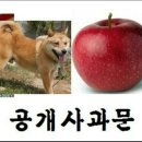 모지 이미지