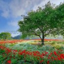 함안전통돼지국밥 이미지