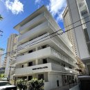 550020 | [하와이 여행 Day1] 하와이 가성비 호텔 숙소 추천 / 와이키키 센트럴 호텔 / 하와이안 항공