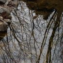 물속풍경 이미지