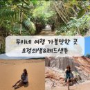 무이네 자유여행 가볼만한 곳 요정의샘, 레드샌듄 여행 일정후기