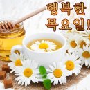 이찬원 트위스트고고 라인댄스~~^♡^ 이미지