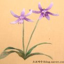 야생화 자수 이미지