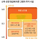 초초고령사회인 일본에서 살펴본 실버산업의 방향성은..?