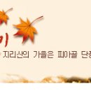 지리산 피아골 단풍축제(11/3~4 이미지