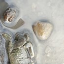 갯뻘 - 서구 고산후로121번길 25 | 갯뻘