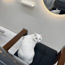 하단지구대 옆 교통섬2 내 | 아차산역미용실 ‘해요’ | 광진구미용실 클리닉 솔직 후기 (아차산속눈썹 정보 포함)