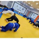 용인대 한국 유도관 이미지