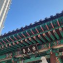 심원정 왜명강화지처비 이미지