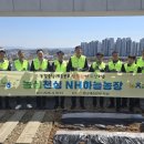 하늘 농장 충청타임즈