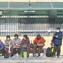 벌교김내과의원 네이버블로그