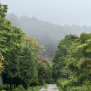 아난티클럽서울(주) | 서울 근교 감성 숙소｜아난티 클럽 서울 가평 후기 (수영장, 객실)