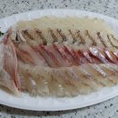 다미야식 이미지