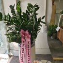 광안리공인중개사사무소 네이버블로그